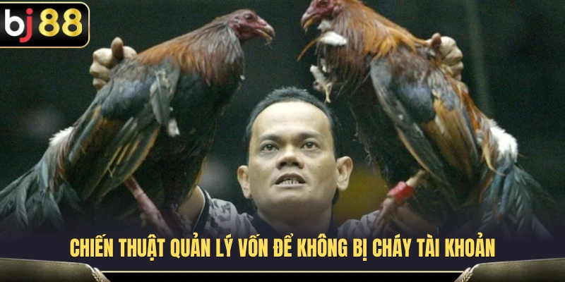 Kinh Nghiệm Cockfighting BJ88 Cho Người Mới Không Bị Cuốn Kèo 4 Những nguyên tắc kiểm soát chi tiêu giúp hạn chế rủi ro